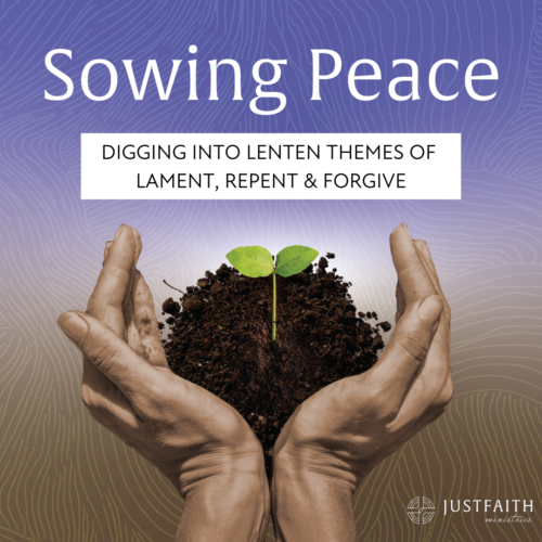 Sowing Peace Logo