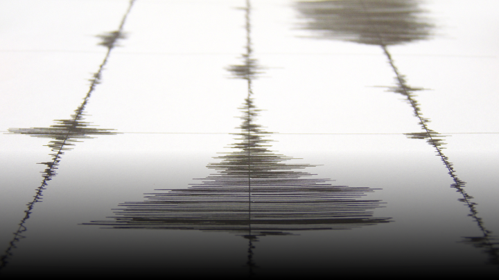Seismograph Showing Multiple Lines with Movement